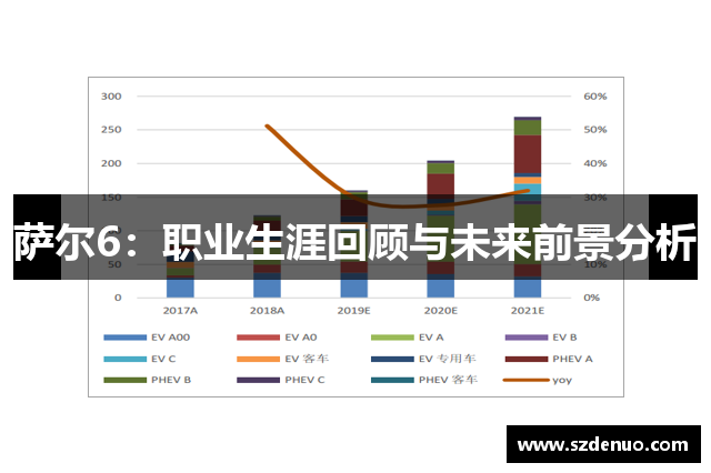 萨尔6：职业生涯回顾与未来前景分析
