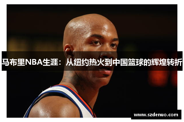 马布里NBA生涯：从纽约热火到中国篮球的辉煌转折