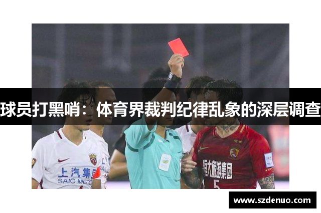 球员打黑哨：体育界裁判纪律乱象的深层调查