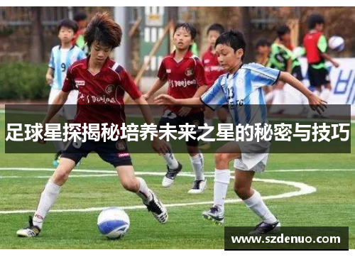 足球星探揭秘培养未来之星的秘密与技巧