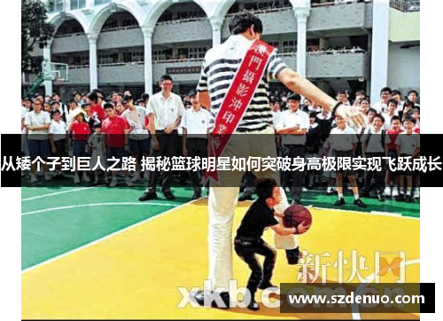 从矮个子到巨人之路 揭秘篮球明星如何突破身高极限实现飞跃成长