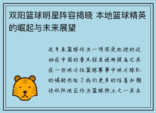 双阳篮球明星阵容揭晓 本地篮球精英的崛起与未来展望